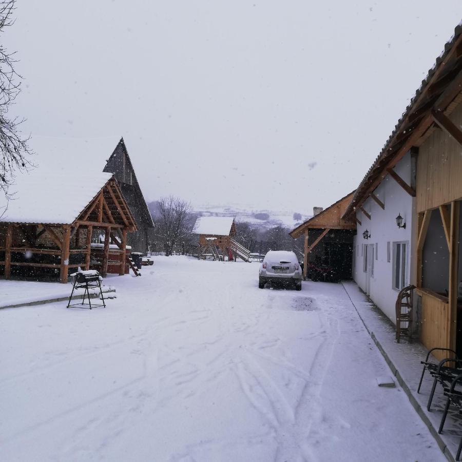 Casa Din Barcut Guest House Exterior photo