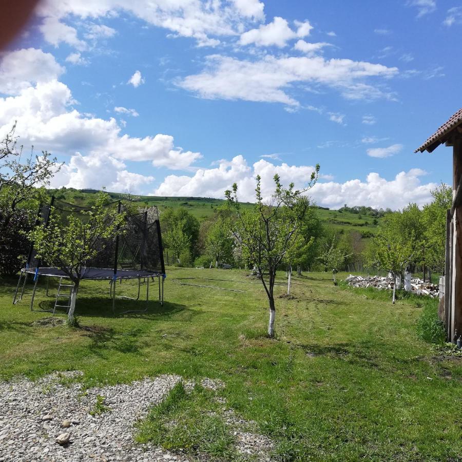 Casa Din Barcut Guest House Exterior photo