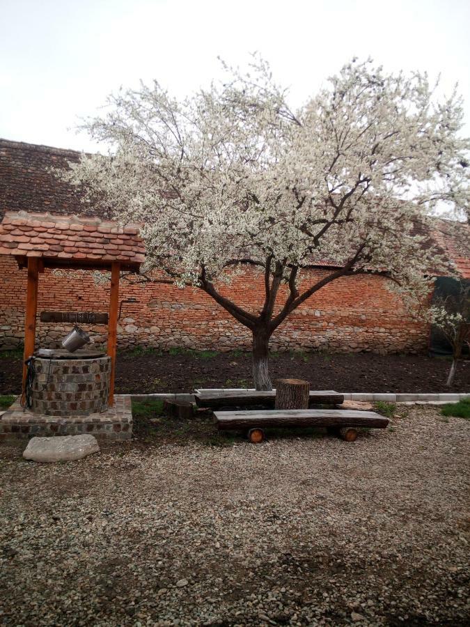 Casa Din Barcut Guest House Exterior photo